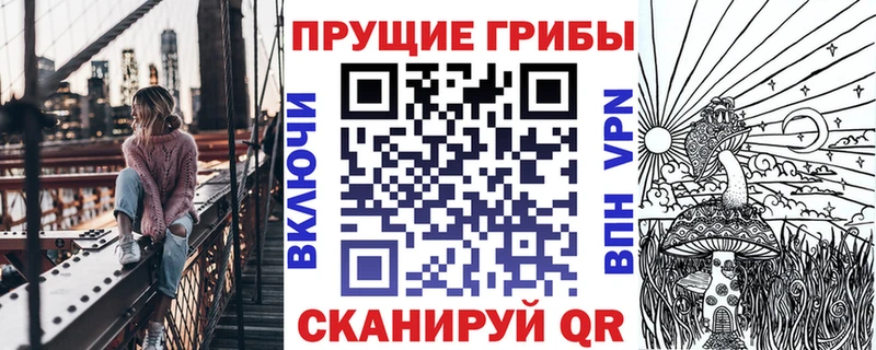 Купить  Вятские Поляны  Галлюциногенные грибы Cubensis 